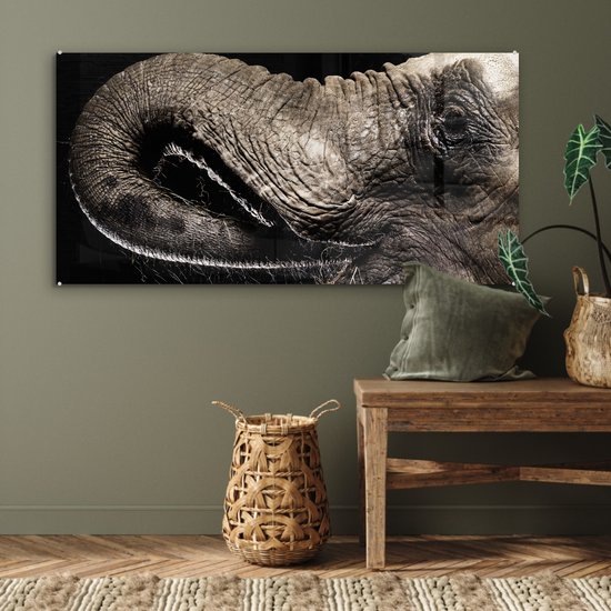 MuchoWow® Peinture sur verre 120x60 cm - Peinture acrylique sur verre - Éléphant - Animaux - Zwart - Nature - Photo sur verre - Peintures