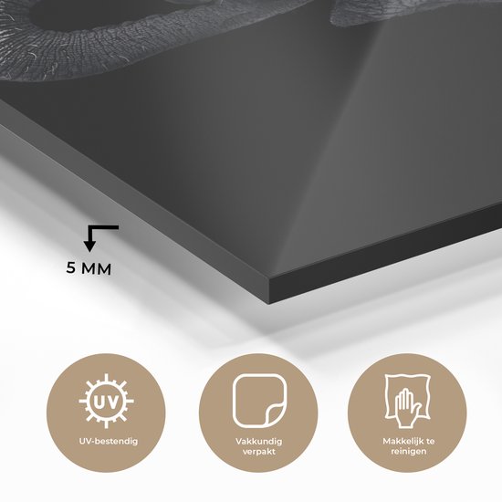 MuchoWow® Peinture sur verre 90x90 cm - Peinture sur verre - Éléphant - Animaux - Zwart - Nature - Photo sur verre acrylique - Peintures