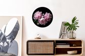 WallCircle - Cercle mural - Cercle mural - Pivoine - Rose - Fleurs - Botanique - Nature - Aluminium - Dibond - 30x30 cm - Intérieur et Extérieur