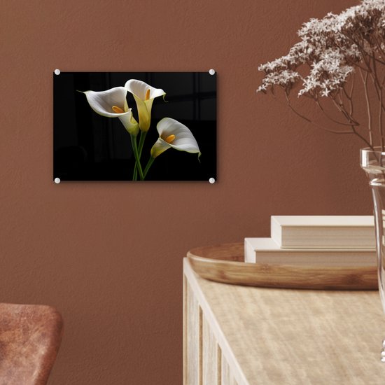 MuchoWow® Glasschilderij 30x20 cm - Schilderij acrylglas - Planten - Bloemen - Wit - Natuur - Botanisch - Foto op glas - Schilderijen