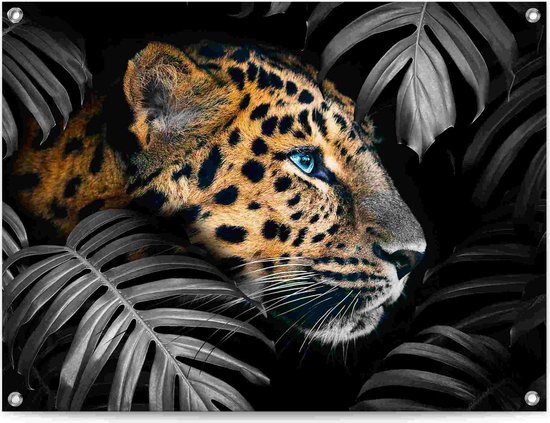 Tuinposter Jungle luipaard 60x80 cm