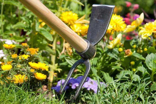 Dubbelzijdige tuinschoffel met essen steel "edge" 80cm van DeWit — afbeelding 3