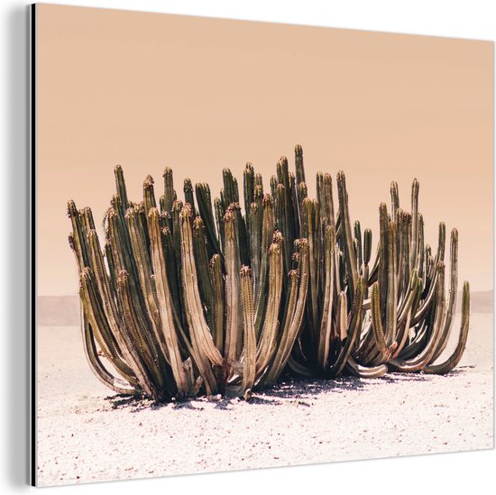 Décoration murale en métal - Peinture sur aluminium style industriel - Cactus - Plante - Nature - Vert - 40 x 30 cm - Dibond - Photo sur aluminium - Décoration murale industrielle - Pour le salon/la chambre