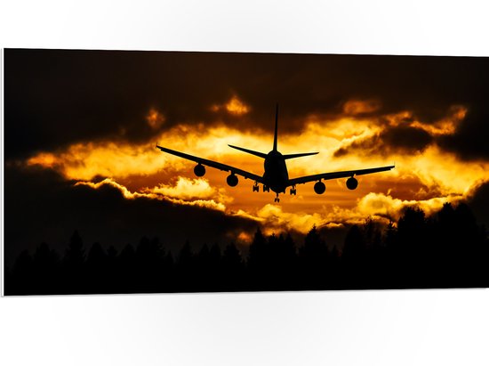 PVC Schuimplaat - Silhouet van Passagiersvliegtuig boven de Bomen tijdens Zonsondergang - 100x50 cm Foto op PVC Schuimplaat (Met Ophangsysteem)