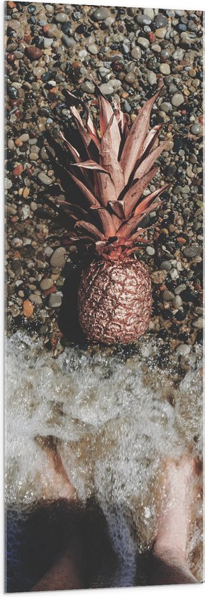 Acrylglas - Ananas op Kiezelstrand - 50x150 cm Foto op Acrylglas (Wanddecoratie op Acrylaat)