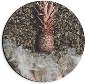 Dibond Muurcirkel - Ananas op Kiezelstrand - 20x20 cm Foto op Aluminium Muurcirkel (met ophangsysteem)