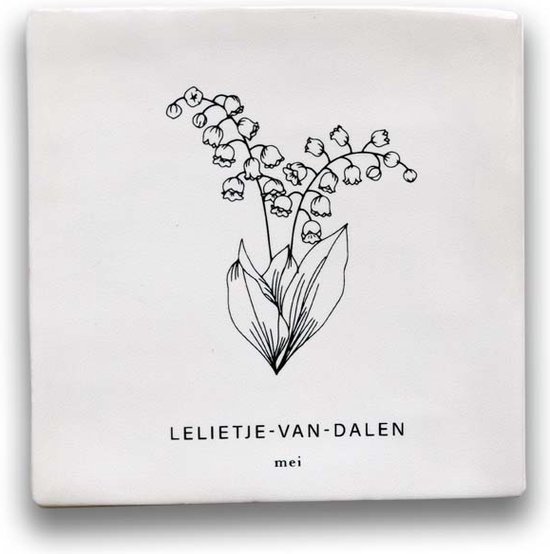 Maan Amsterdam - Tegeltje geboortebloem - Mei - Lelietje-van-Dalen - Kraamcadeau - Geboortebloem cadeau - Wanddecoratie