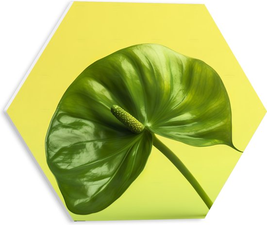 PVC Schuimplaat Hexagon - Donkergroene Anthurium Plant tegen Lichtgroene Achtergrond - 30x26.1 cm Foto op Hexagon (Met Ophangsysteem)