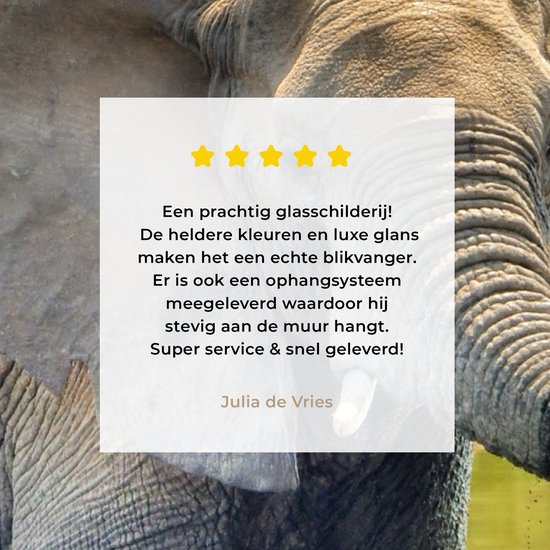 MuchoWow® Peinture sur verre 100x150 cm - Peinture sur verre acrylique - Éléphant - Water - Animaux - Nature - Photo sur verre - Peintures