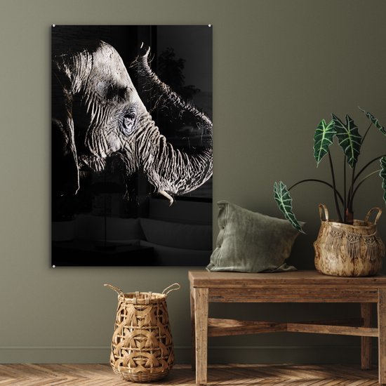 MuchoWow® Peinture sur verre 60x90 cm - Peinture sur verre acrylique - Éléphant - Zwart - Animaux - Nature - Photo sur verre - Peintures