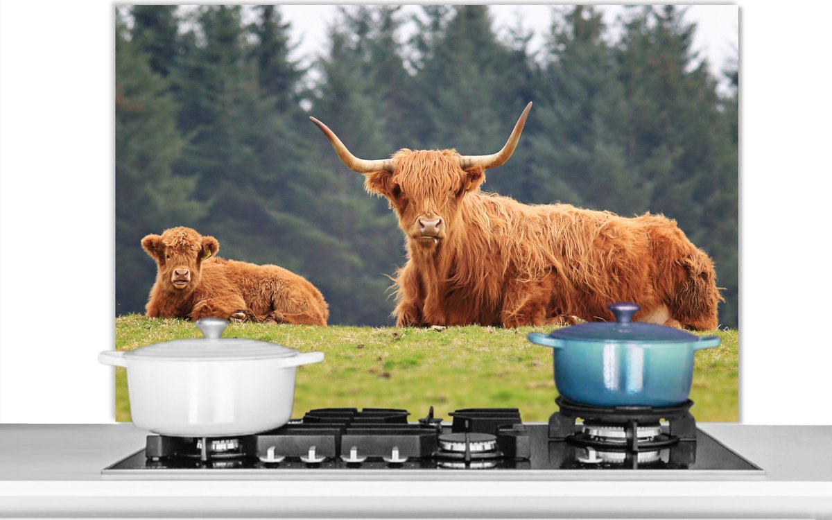 Spatscherm keuken 100x65 cm - Kookplaat achterwand Schotse Hooglanders - Gras - Bos - Muurbeschermer - Spatwand fornuis - Hoogwaardig aluminium