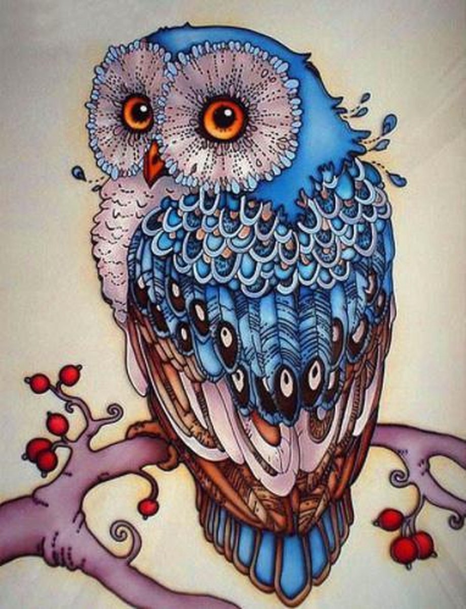 *** Blauwe Uil - Diamond Painting 30x40 cm - Kleurrijke Uil - van Heble® ***