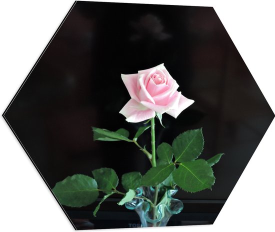 Dibond Hexagon - Bloem - Roos - Roze - Vaasje - Glas - 60x52.2 cm Foto op Hexagon (Met Ophangsysteem)