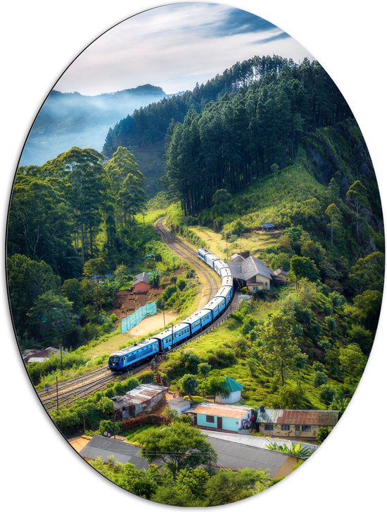 Dibond Ovaal - Bergen - Trein - Treinrails - Huizen - Bomen - Planten - 72x96 cm Foto op Ovaal (Met Ophangsysteem)