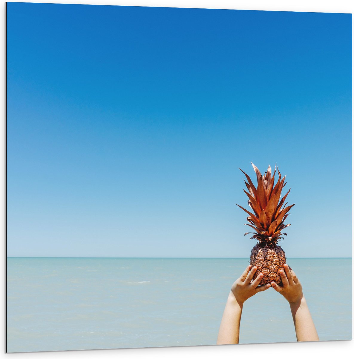 Dibond - Ananas in Handen bij het Water - 100x100 cm Foto op Aluminium (Met Ophangsysteem)
