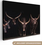 Canvas Schilderij Stieren - Dieren - Bruin - Donker - 120x90 cm - Wanddecoratie