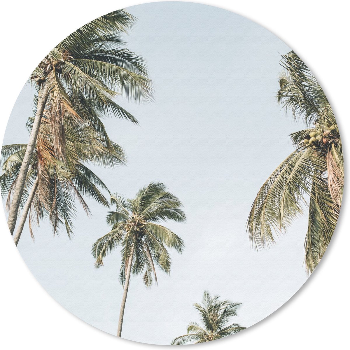 Muismat rond 30x30 cm - Mousepad Palmen - Zomer - Tropisch - Ronde muismatten