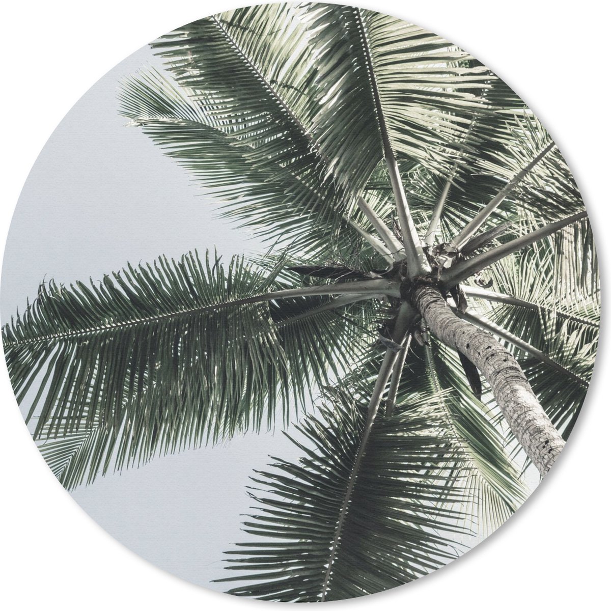 Muismat rond 30x30 cm - Mousepad Palmboom - Tropical - Zomer - Ronde muismatten