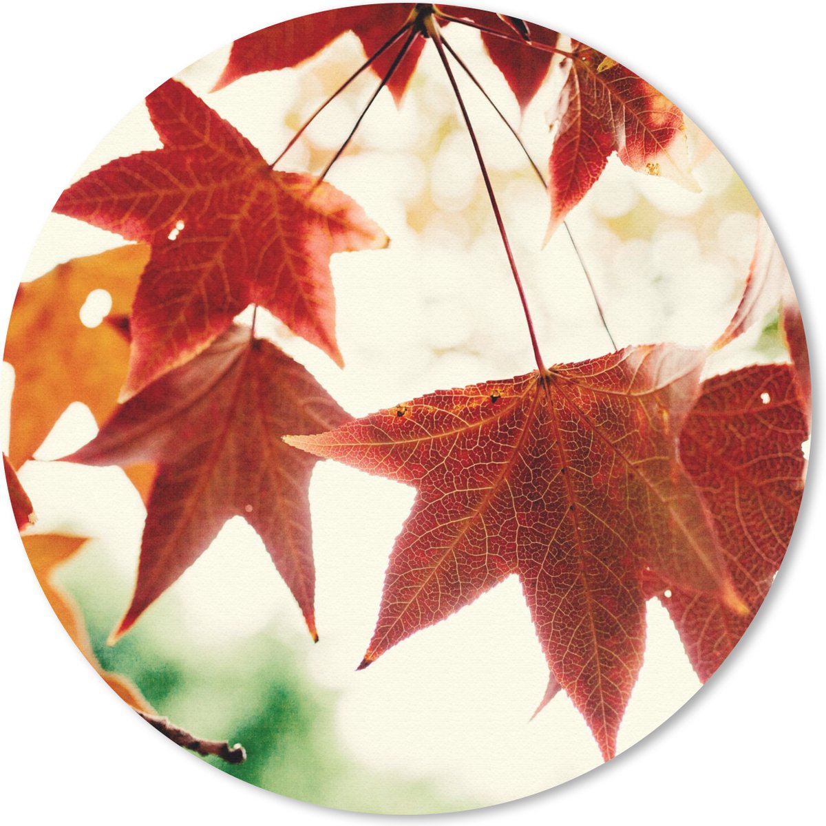 Muismat rond 20x20 cm - Mousepad Herfstbladeren - November - Natuur - Bomen - Ronde muismatten