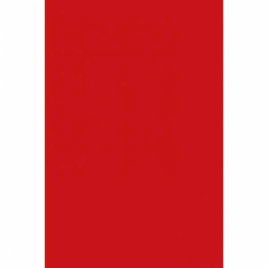 Rood Tafelkleed Plastic 274x137cm | bol.com