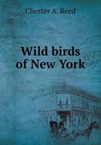 Wild birds of New York