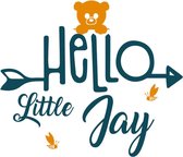 Geboortesticker Hello Little - Babynaam jongen | Raamstickers | Geboorte stickers | Geboorte versiering jongen | Geboorte jongen | Topkwaliteit!