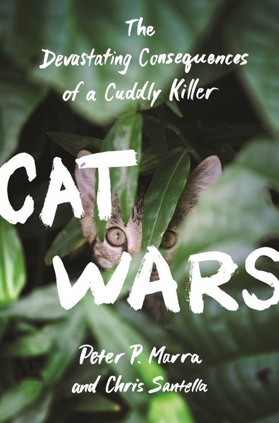 Cat Wars - cover