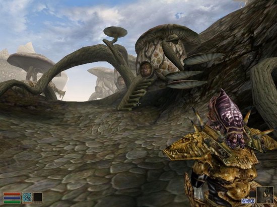 The Elder Scrolls III - Morrowind Game Of The Year - PC | Games | Bol