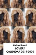Afghan Hound Lovers Calendar 2019-2020