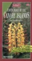 Exotic Flora of the Canary Islands