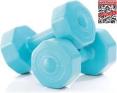 Bol.com Gymstick Active Vinyl Dumbells - Met Online Trainingsvideo's - 2 x 1 kg aanbieding