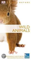 Wild Animals