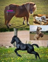 Pony Sketch Book
