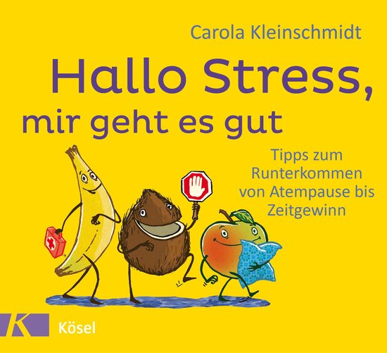 Hallo Stress, mir geht es gut - cover