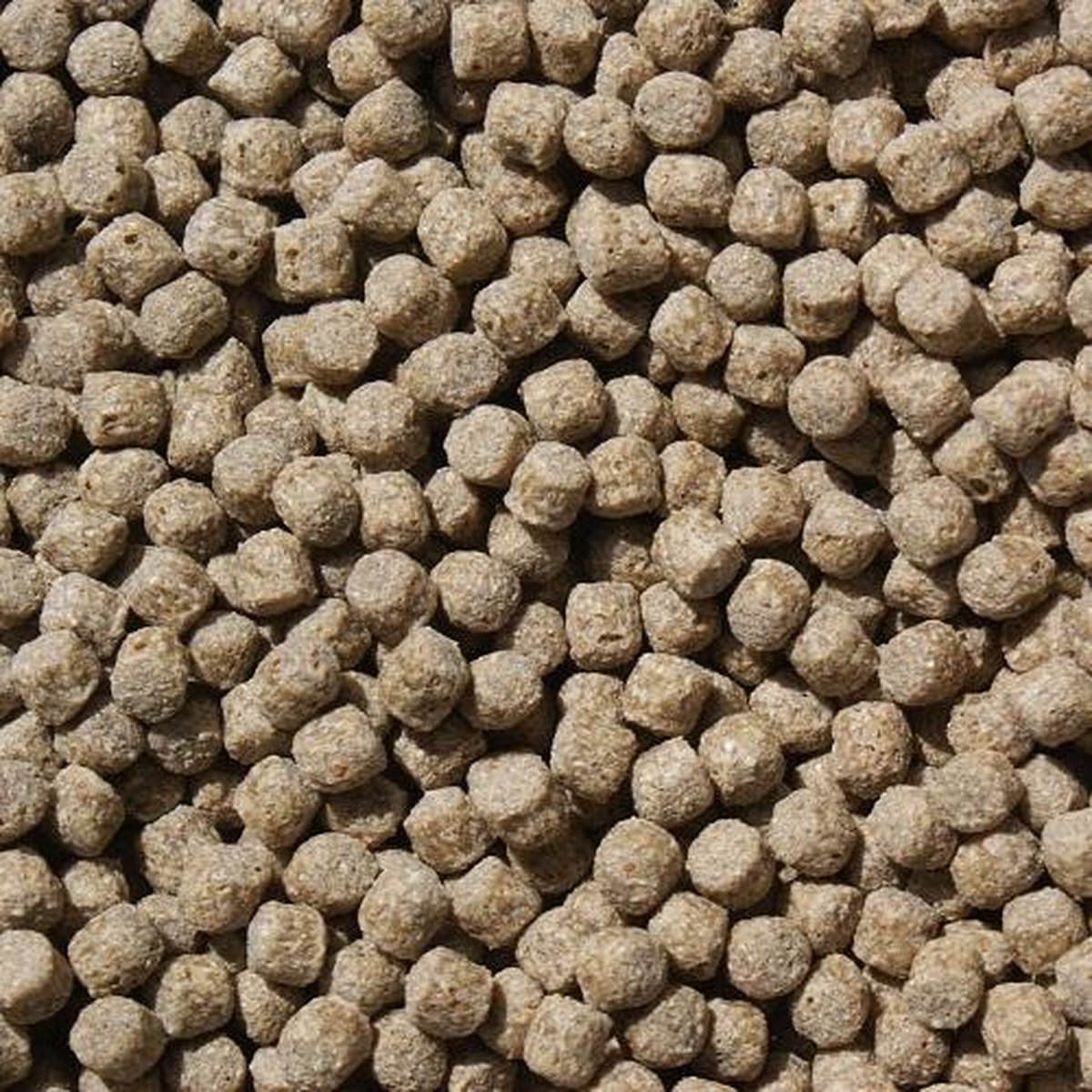 Koivoer Wheat Germ (2KG)(3mm) - Wintervoer