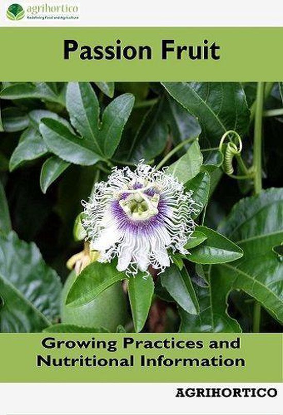 Passion Fruit - cover