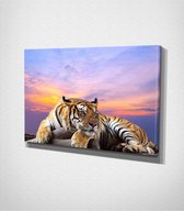 Tiger Laying On The Wood Canvas | 30x40 cm