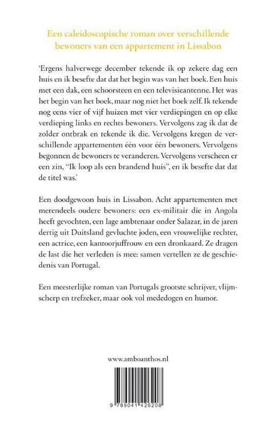 Boekcover met tekst over een roman.