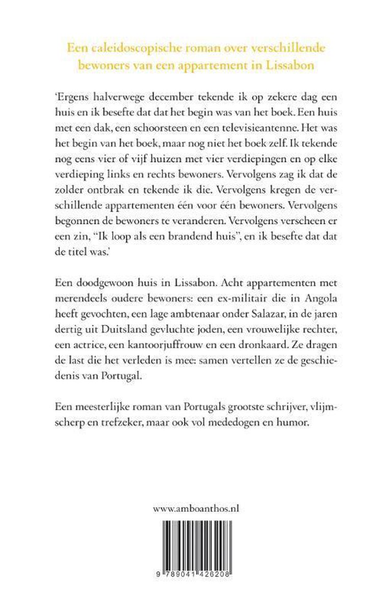 Boekcover met tekst over een roman.