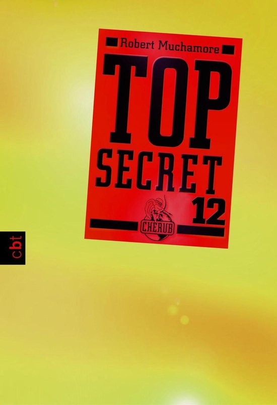 Top Secret (Serie) 12 - Top Secret 12 - Die Entscheidung - cover