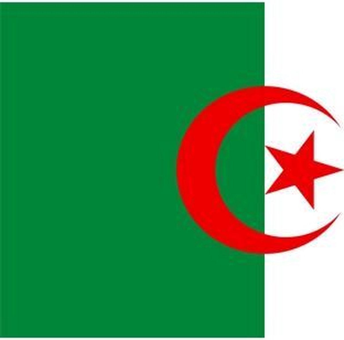 Vlag van Algerije 90 x 150