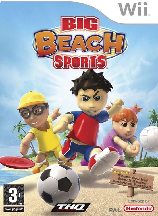 Big Beach Sports  Wii