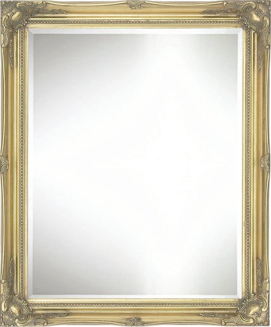 Elégant miroir baroque Denzel extérieur taille 71x101cm Or