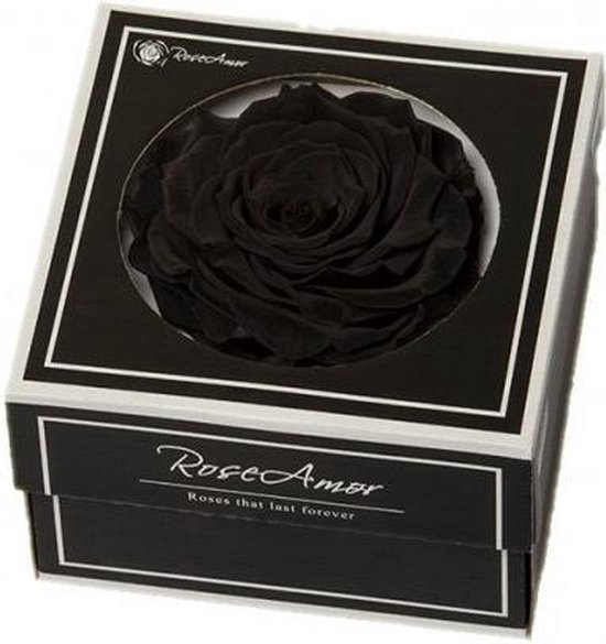 bol.com | Zwarte rozen kop XXL geconserveerd in cadeaubox