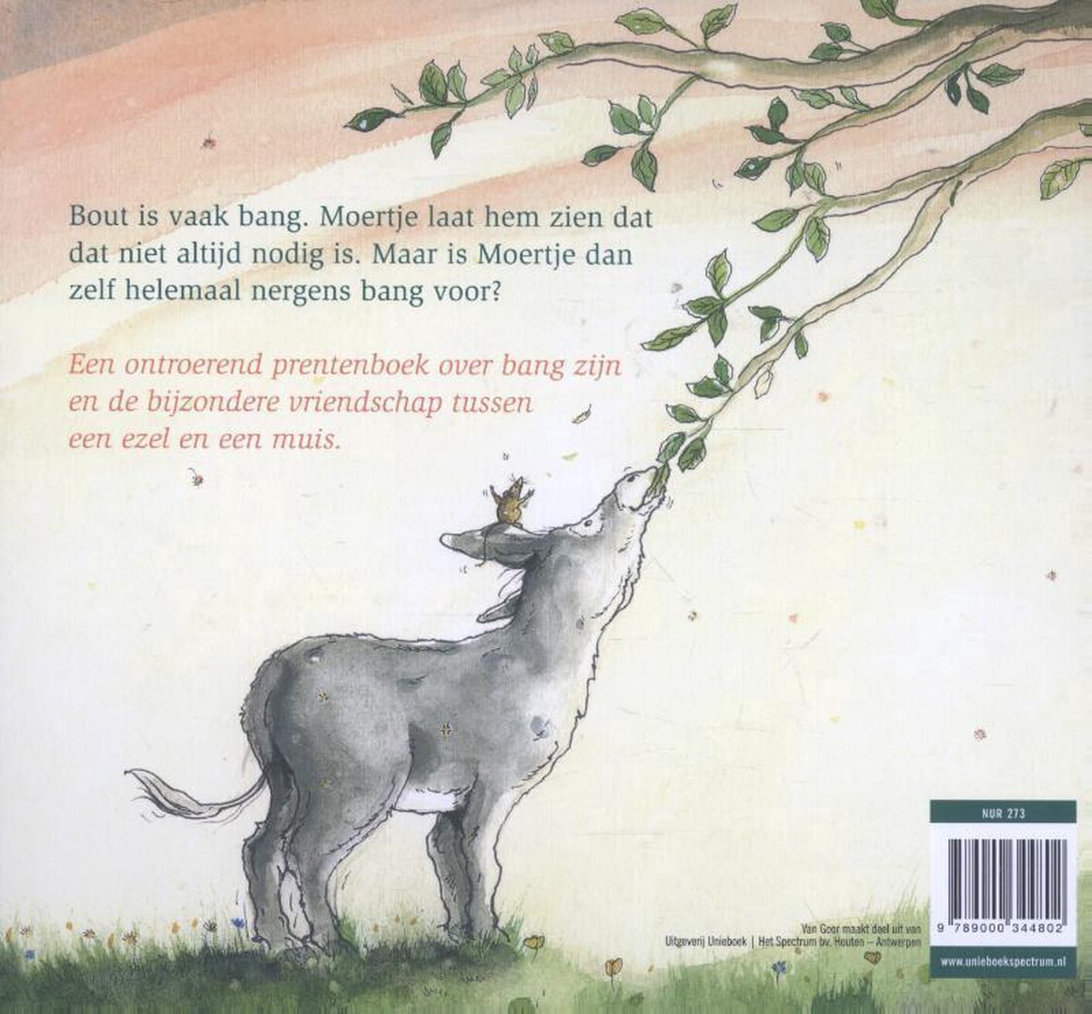 Bout is bang - back cover