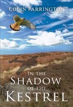 In the Shadow of the Kestrel