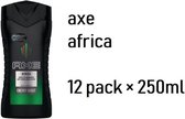 12 pack axe douchegel africa