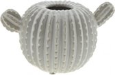 Vase cactus blanc S - 18 cm - Cosii