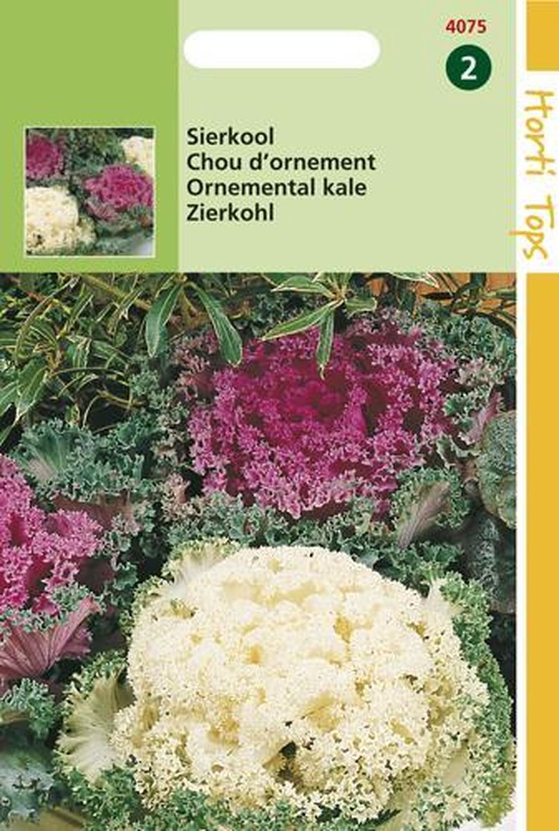 Hortitops Zaden - Brassica Oleracea (Sierkool Gemengd)