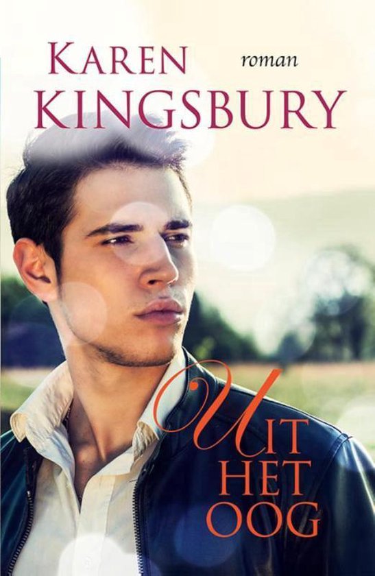 Bailey Flanigan 2 - Uit het oog - cover